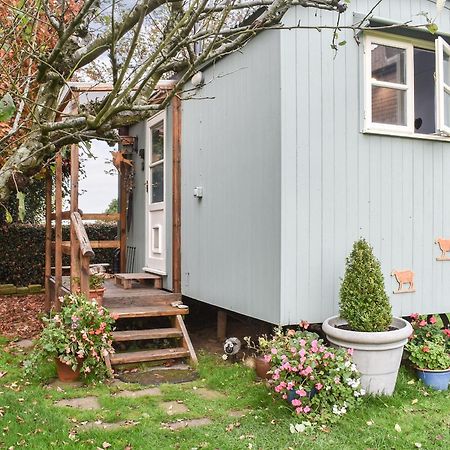 Farmhouse Garden Shepherds Hut Thursley Exterior foto